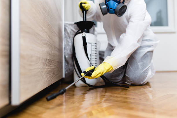 Best Pest Removal Services  in Cohasset, MN