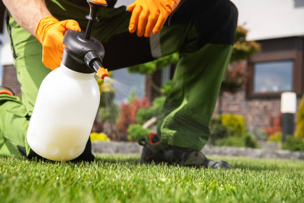 Best Commercial Pest Control Services  in Cohasset, MN