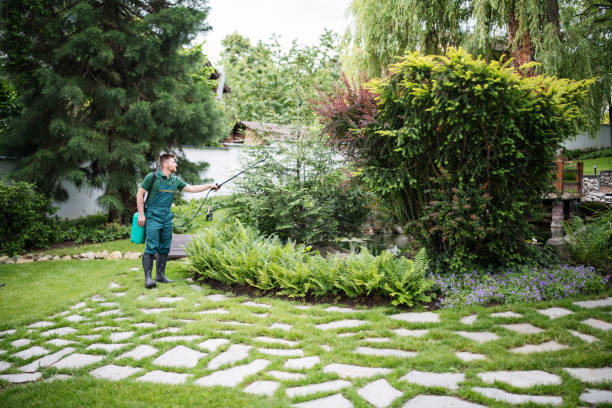 Best Affordable Pest Control Services  in Cohasset, MN