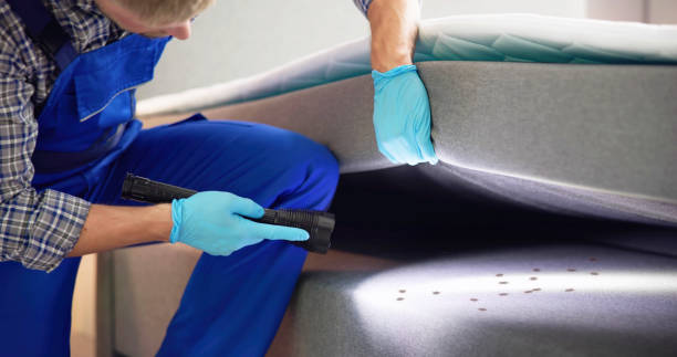 Best Best Pest Control Companies  in Cohasset, MN