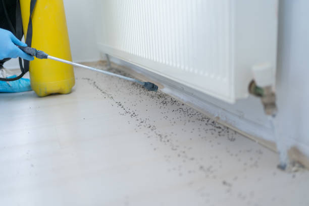 Best Bed Bug Extermination  in Cohasset, MN